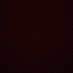 Meet your Posher, Delaney